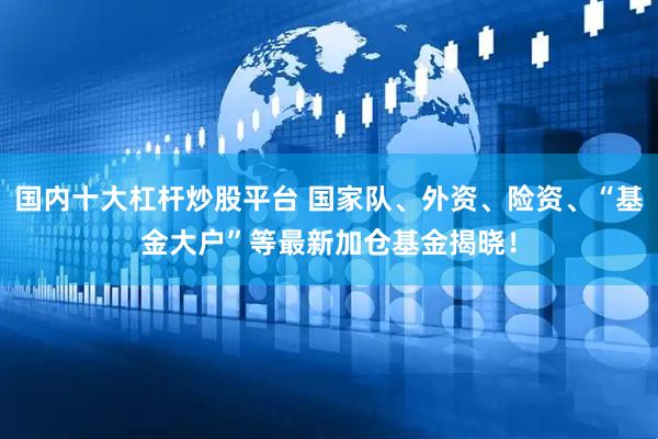 国内十大杠杆炒股平台 国家队、外资、险资、“基金大户”等最新加仓基金揭晓！