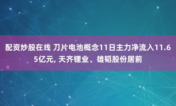 配资炒股在线 刀片电池概念11日主力净流入11.65亿元, 天齐锂业、雄韬股份居前