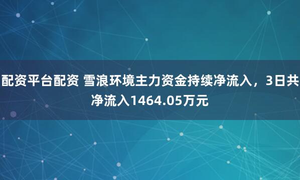 配资平台配资 雪浪环境主力资金持续净流入，3日共净流入1464.05万元
