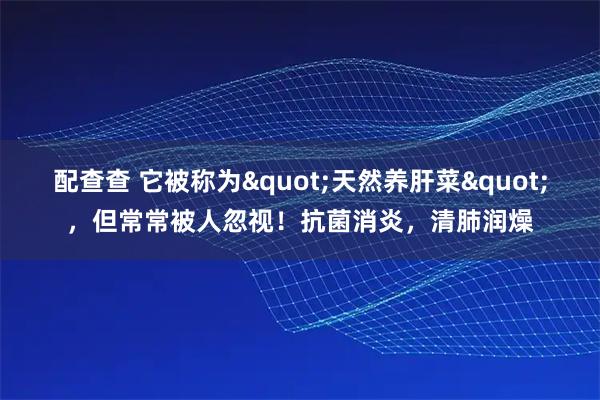 配查查 它被称为"天然养肝菜"，但常常被人忽视！抗菌消炎，清肺润燥