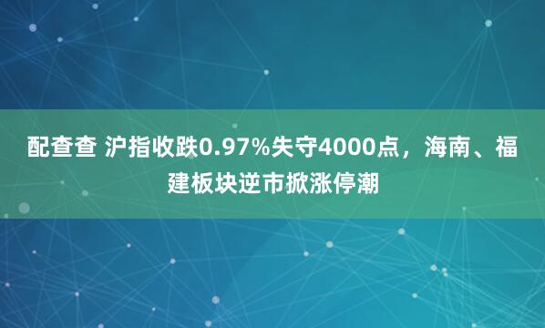 配查查 沪指收跌0.97%失守4000点，海南、福建板块逆市掀涨停潮